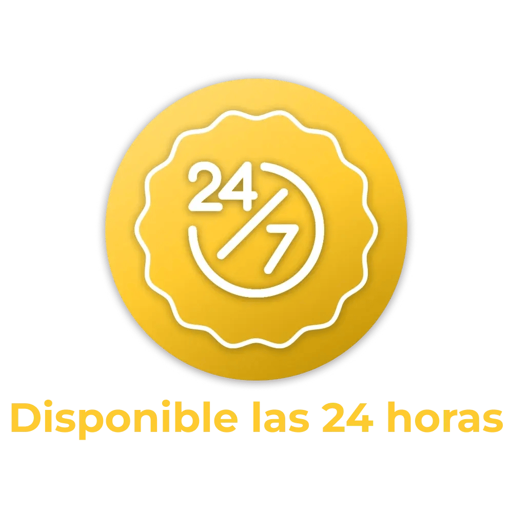 24 horas